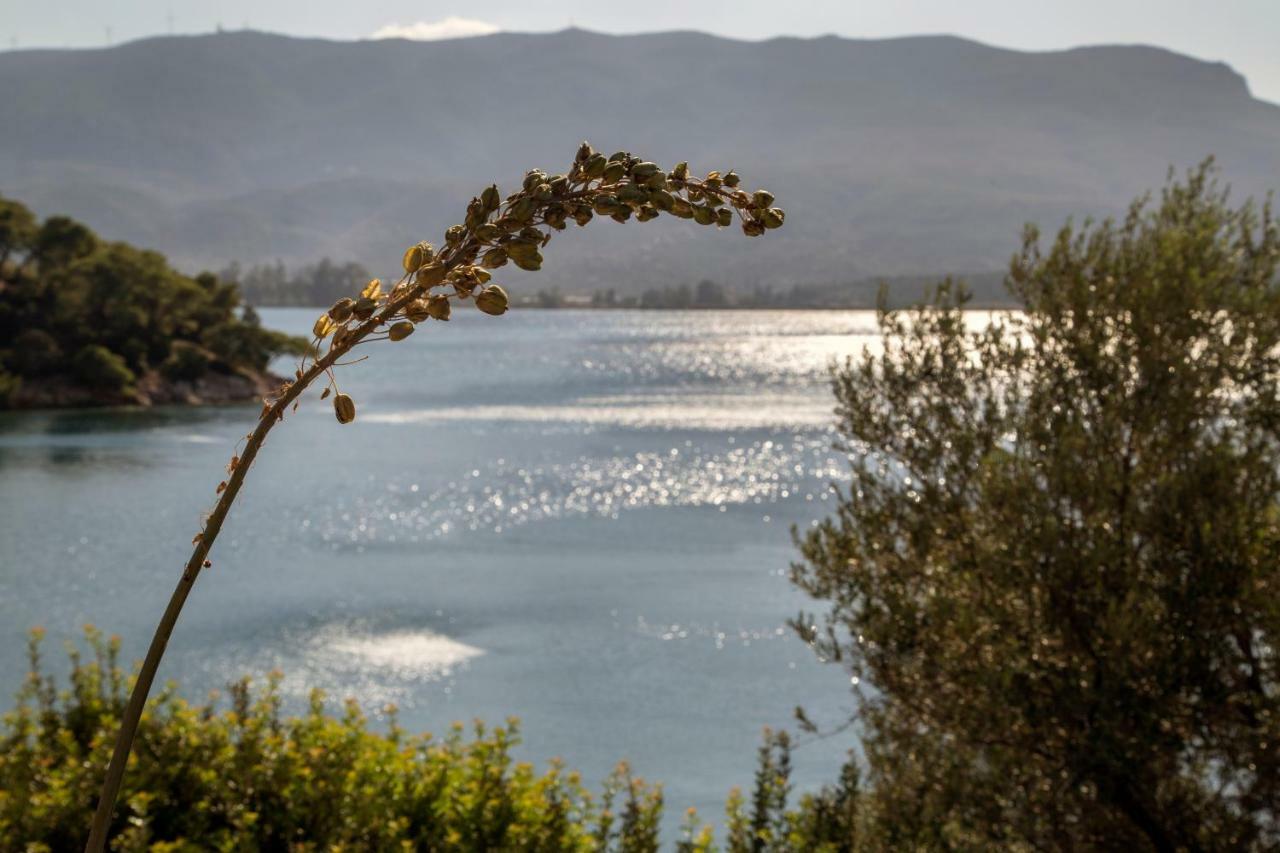 Kalavria Luxury Suites - Magnificent Sea View Of Poros Poros Town Luaran gambar